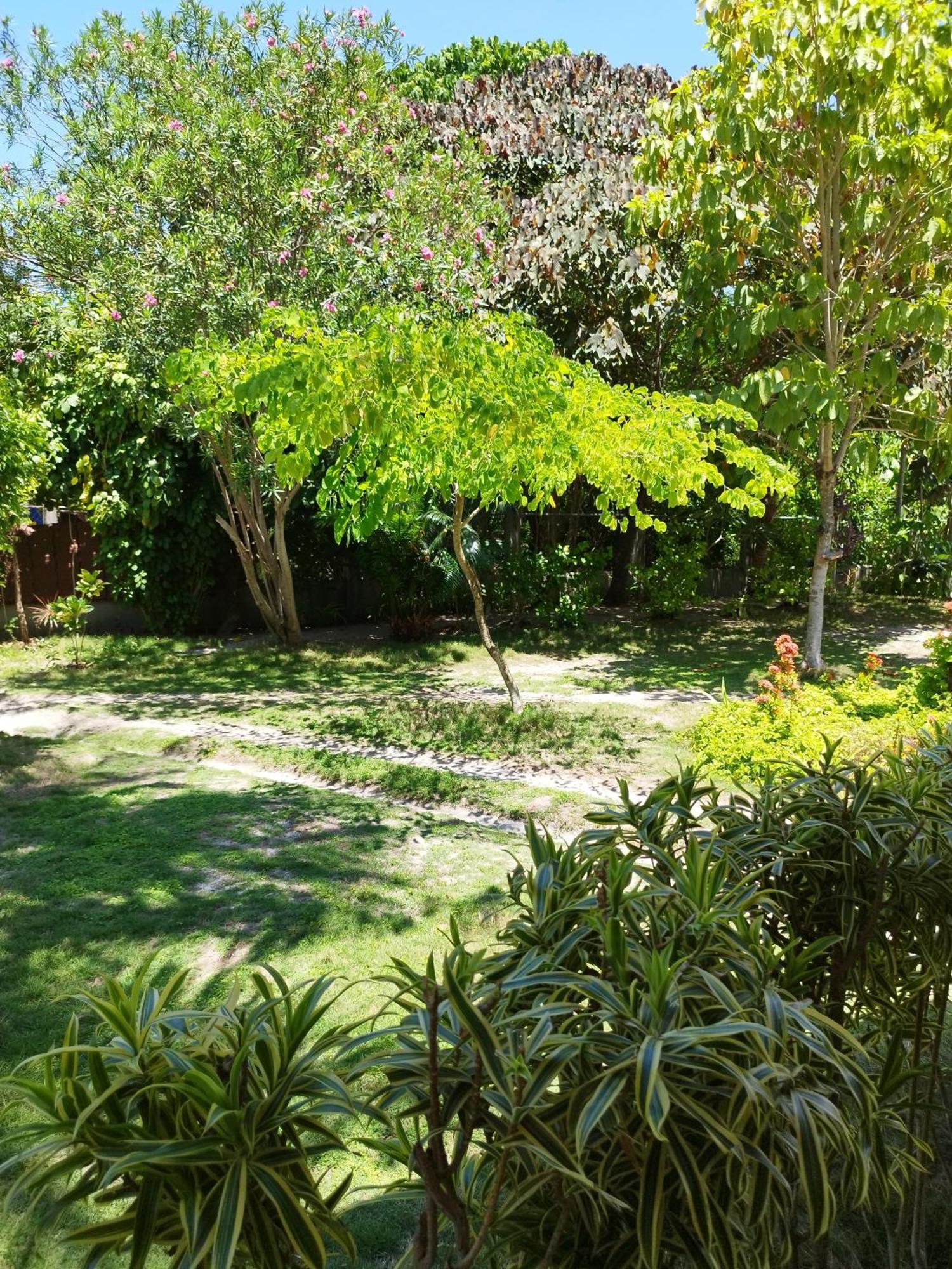 Celtis Resort Logon Dış mekan fotoğraf